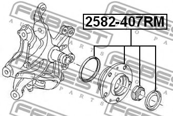 FEBEST 2582-407RM Wheel Hub